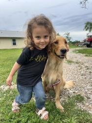 Lost Female Dog last seen Near, Greenville, TX 75401