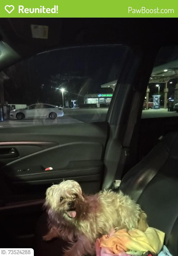Reunited Female Dog last seen Newark, De, New Castle County, DE 19711
