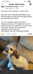 Reunited Female Dog last seen 10th and Bowdish, Spokane Valley, WA 99206
