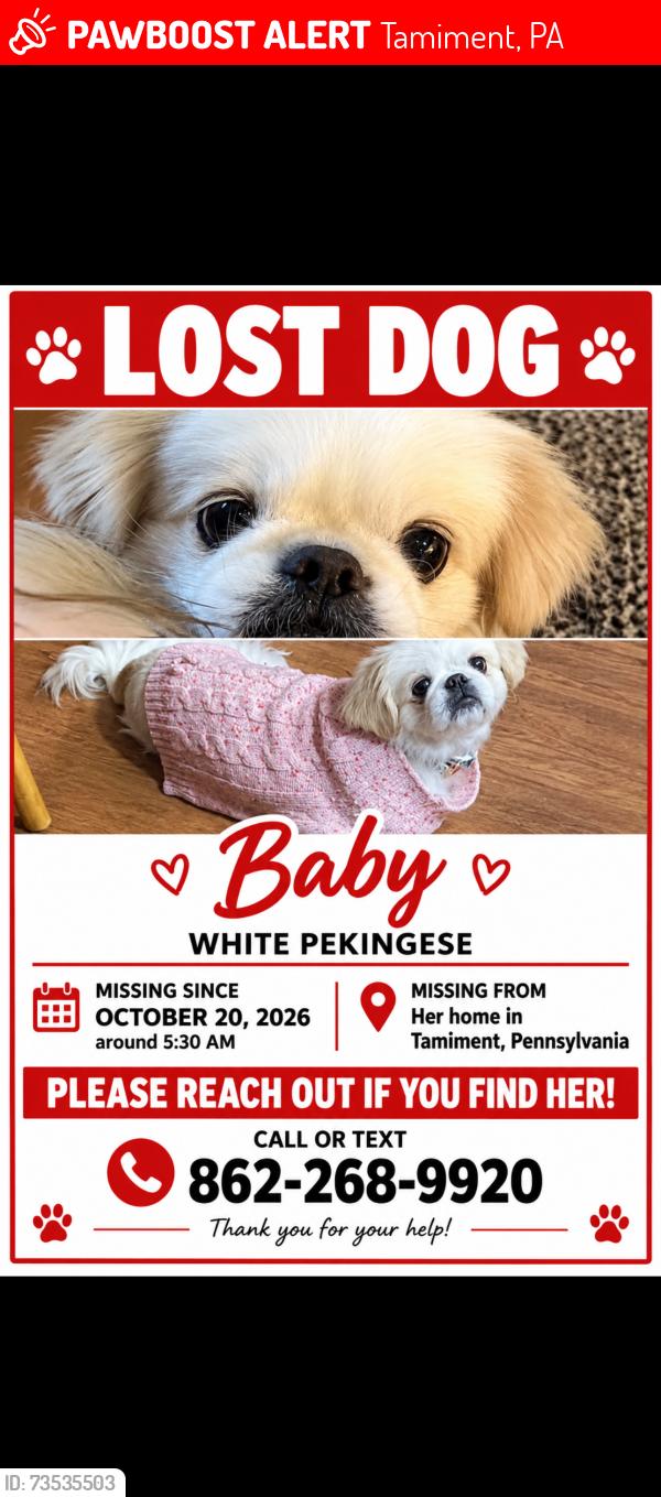 Lost Female Dog last seen The Glen Tamiment, Tamiment, PA 18324