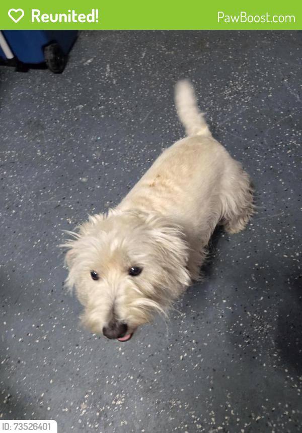 Reunited Female Dog last seen Northwoods dr, Jacksonville, NC 28540