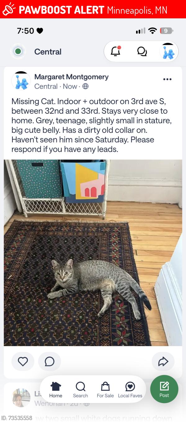 Lost Female Cat last seen 32nd St, Minneapolis, MN 55408