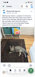 Lost Female Cat last seen 32nd St, Minneapolis, MN 55408