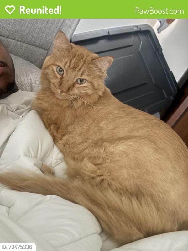 Reunited Male Cat last seen By Aquila Elementary, St. Louis Park, MN 55426
