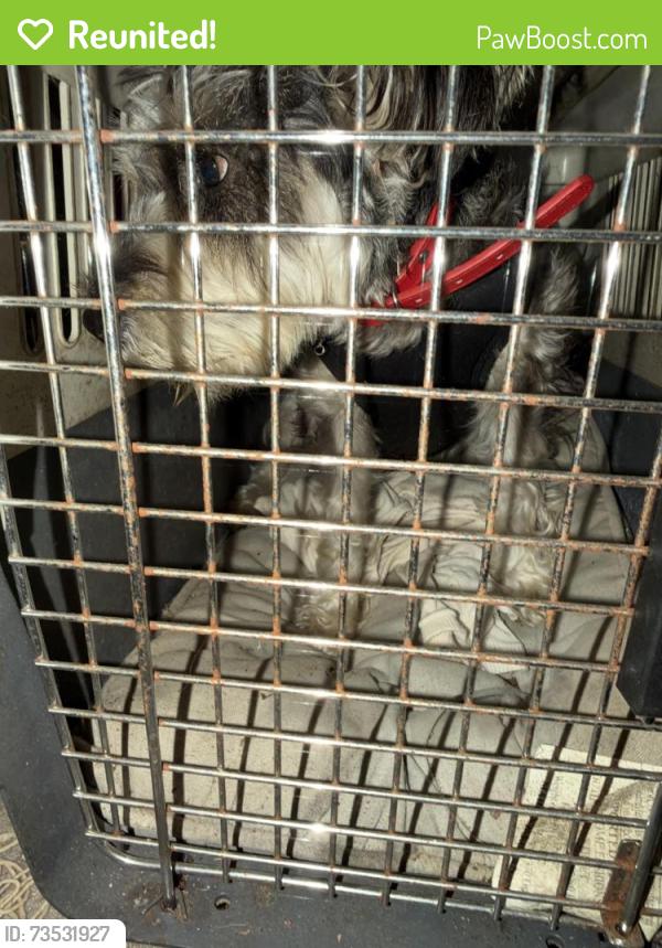 Reunited Male Dog last seen Clairmont Place, Macon, GA 31204