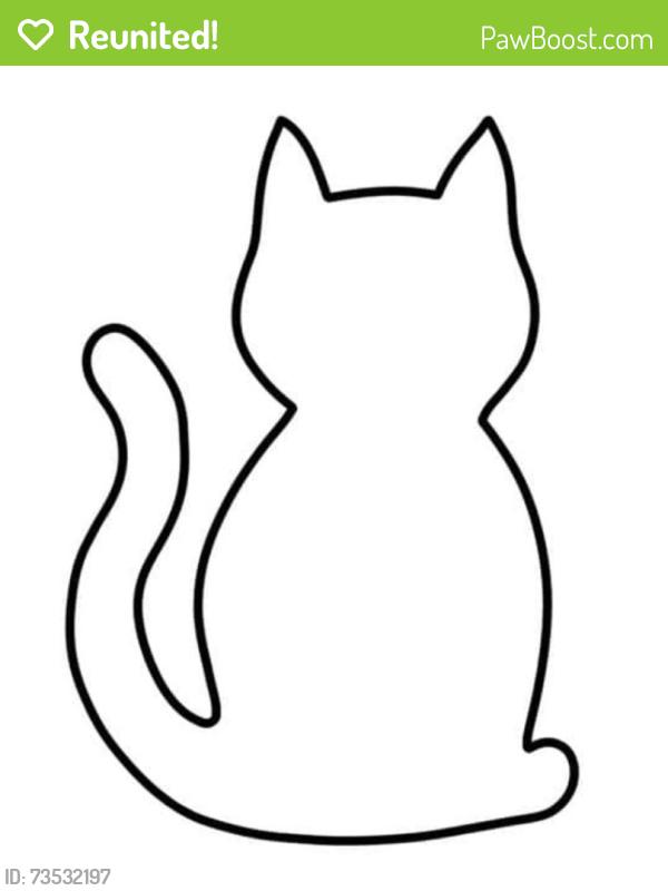 Reunited Unknown Cat last seen Stonebridge Pkwy and Landing Way, Cooper City, FL 33026