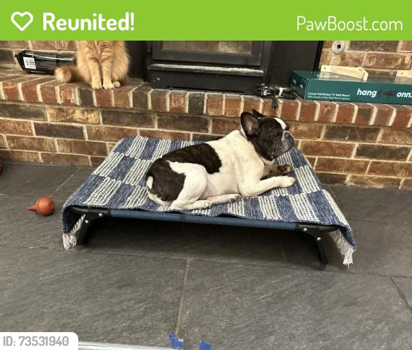 Reunited Male Dog last seen TG Smith Elementary School, Falcon Rd, Springdale, AR 72762