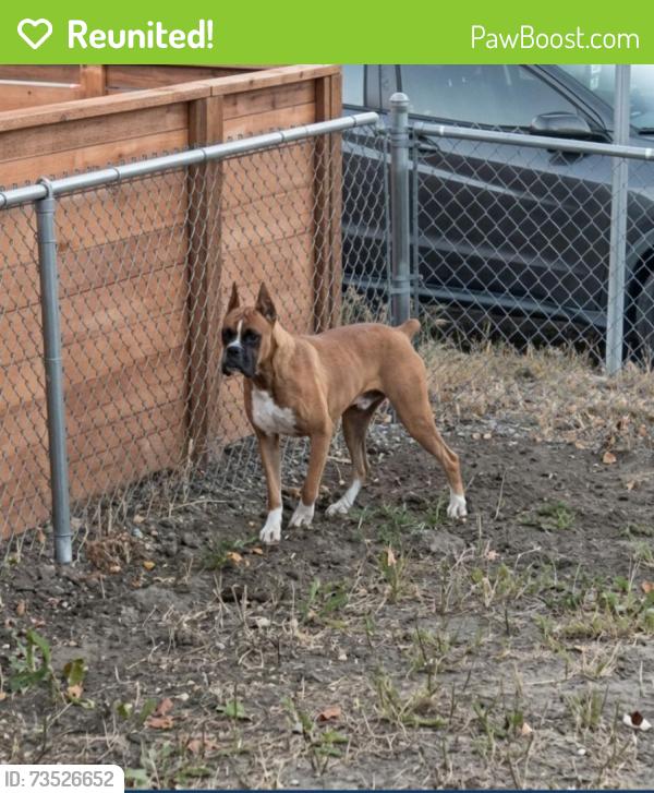 Reunited Male Dog last seen West Walsh Place just off Morrison Road, Denver, CO 80219