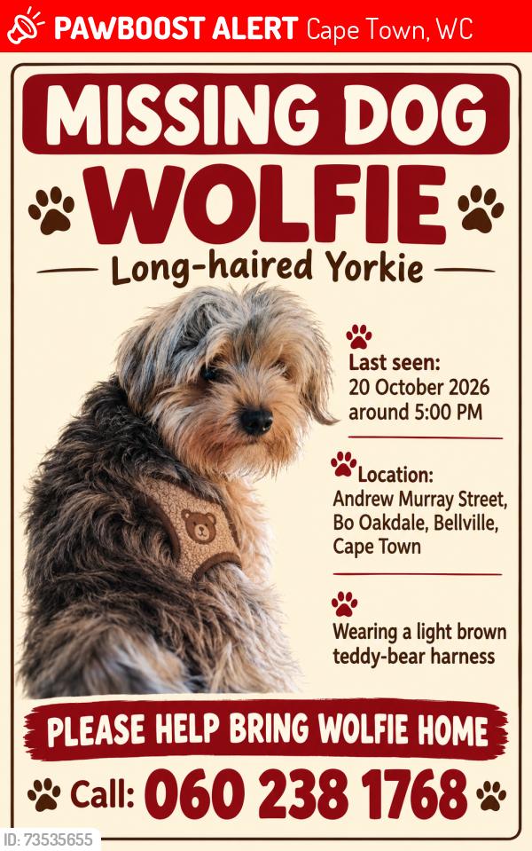 Lost Male Dog last seen Havenga street, Cape Town, WC 7530