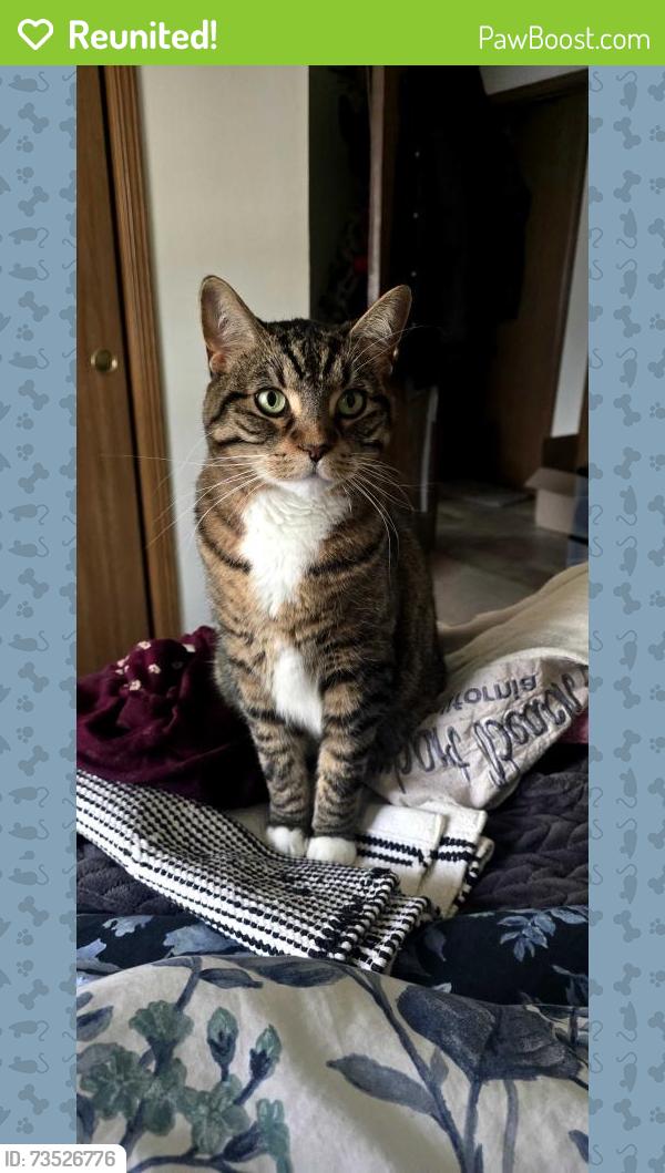 Reunited Male Cat last seen 108th & Morgan, Greenfield, WI 53228