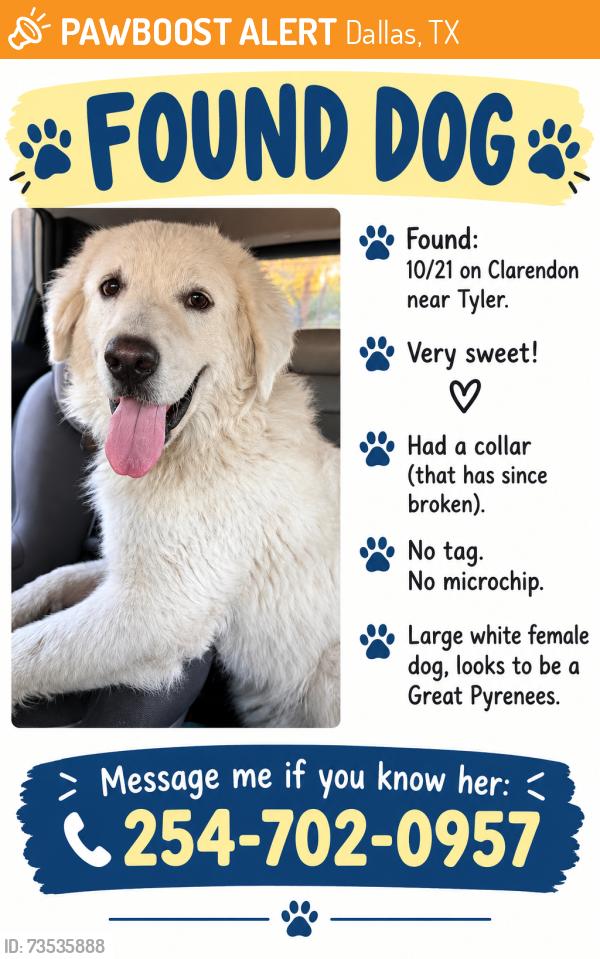 Found/Stray Female Dog last seen Near Clarendon and Tyler, Dallas, TX 75224
