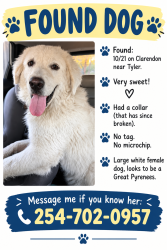 Found/Stray Female Dog last seen Near Clarendon and Tyler, Dallas, TX 75224