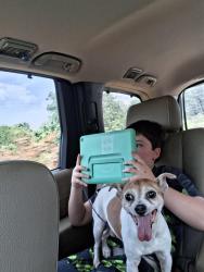 Lost Male Dog last seen Near NW 106th St, Oklahoma City, OK 73162