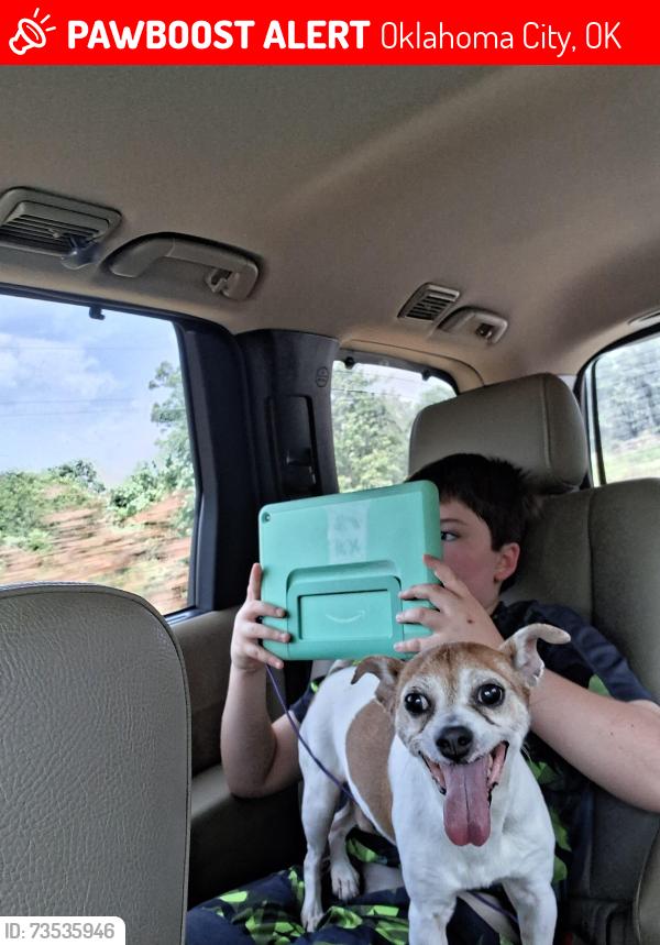 Lost Male Dog last seen Near NW 106th St, Oklahoma City, OK 73162