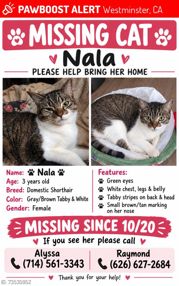 Lost Female Cat last seen Locust/21st, Westminster, CA 92683