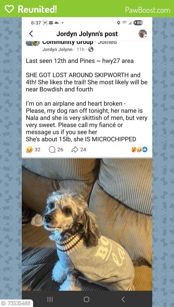Reunited Female Dog last seen 10th and Bowdish, Spokane Valley, WA 99206