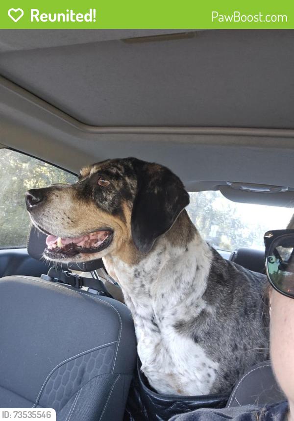 Reunited Unknown Dog last seen Naples St, Spring Hill, FL 34604, USA, Spring Hill, FL 34604