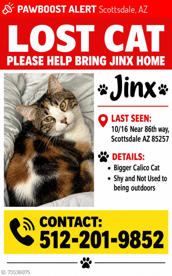 Lost Female Cat last seen 86th way Scottsdale Az 85257, Scottsdale, AZ 85257