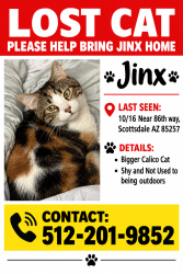 Lost Female Cat last seen 86th way Scottsdale Az 85257, Scottsdale, AZ 85257