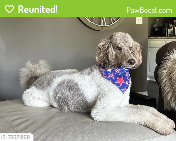 Reunited Female Dog last seen Near E 124th St S, Jenks, OK 74037, USA, Jenks, OK 74037