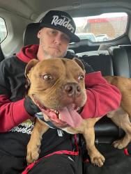 Reunited Male Dog last seen Near Syracuse &16th, Denver, CO 80220