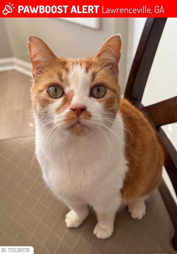 Lost Male Cat last seen Fountain Glen Ct, Lawrenceville, GA 30043