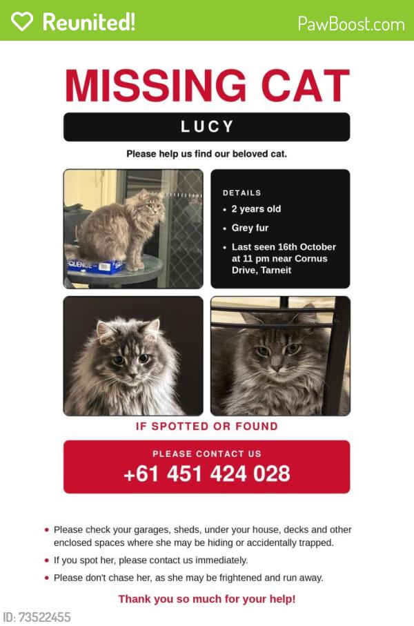 Reunited Female Cat last seen Bethany road, Tarneit, Tarneit, VIC 3029
