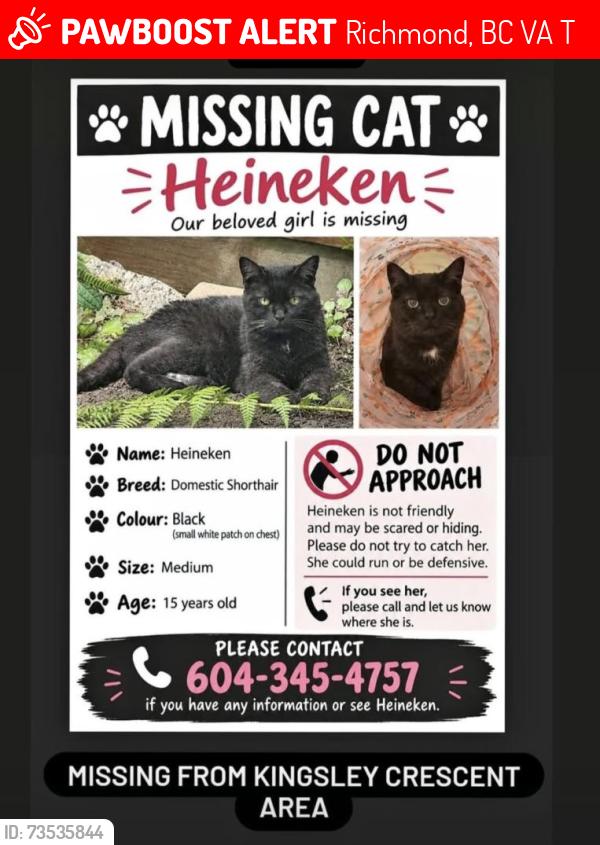 Lost Female Cat last seen Kingsley Crescent,Richmond, BC, Richmond, BC V7A 4T1