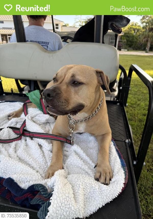 Reunited Male Dog last seen Rambling dr Cir, Wellington, FL 33414