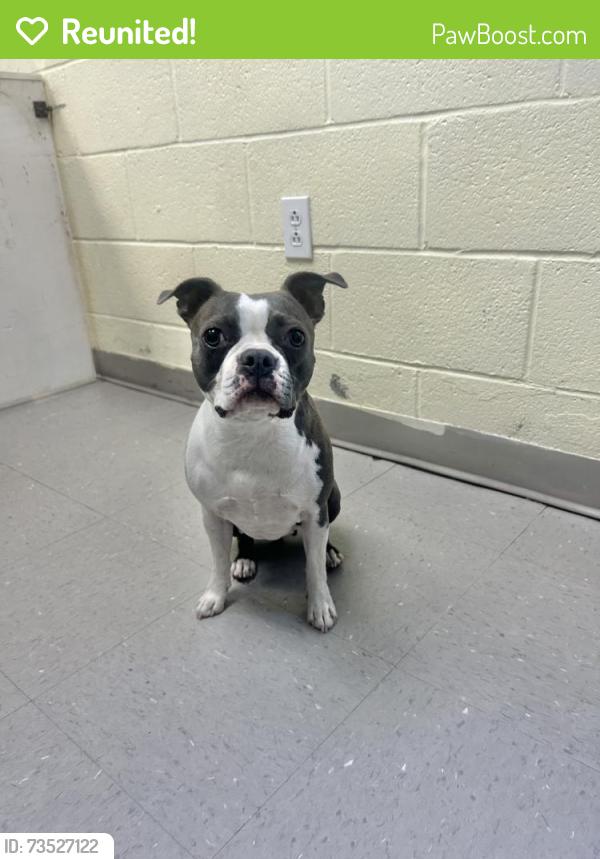 Reunited Female Dog last seen Old Sanford Rd., Chatham County, NC 27312