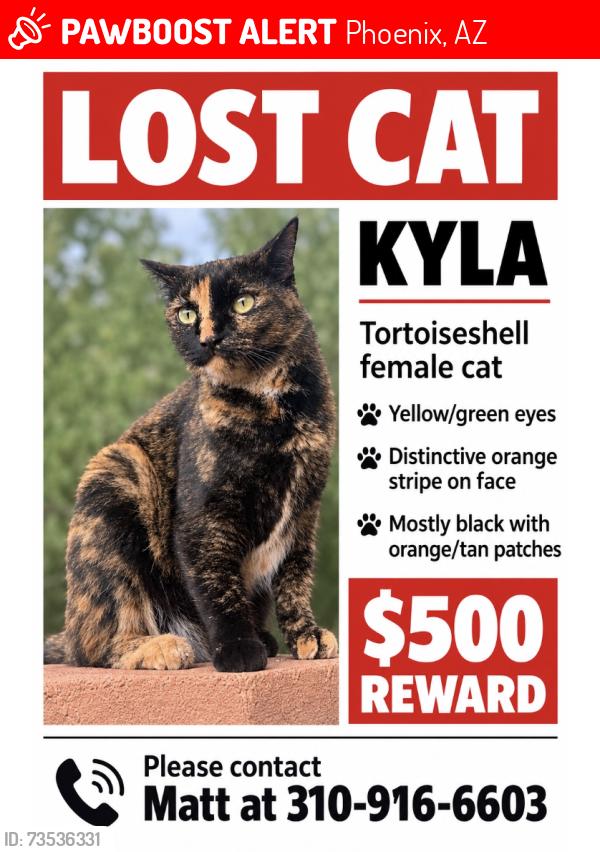 Lost Female Cat last seen Cave Creek & Beardsley, Phoenix, AZ 85024