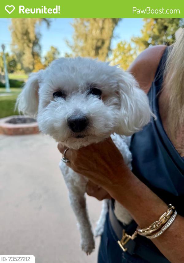 Reunited Female Dog last seen Sunnyside Golf Course, Fresno, CA 93727