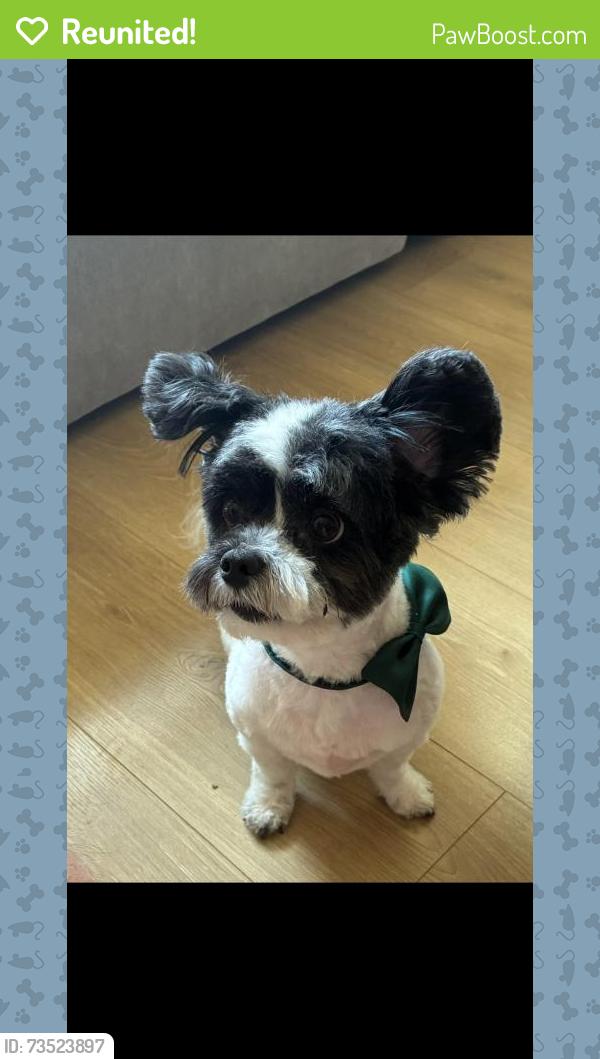 Reunited Male Dog last seen Unknown, Vancouver, WA 98662