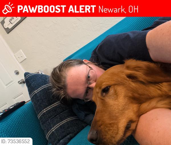 Lost Female Dog last seen Peirson Blvd, Newark, OH 43055