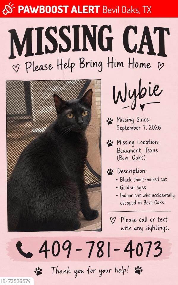 Lost Male Cat last seen Sweetgum rd, Bevil Oaks, TX 77713