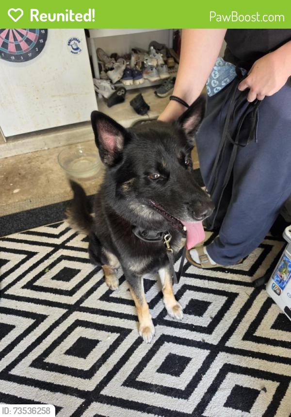 Reunited Male Dog last seen Highland View ct/ Keaton Chase, Fleming Island, FL 32003