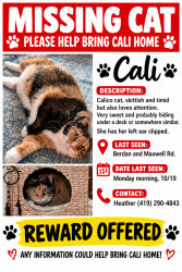 Lost Female Cat last seen Berdan and Maxwell, Toledo, OH 43613
