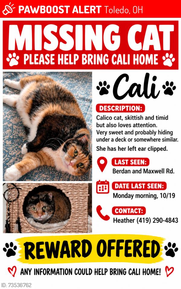 Lost Female Cat last seen Berdan and Maxwell, Toledo, OH 43613