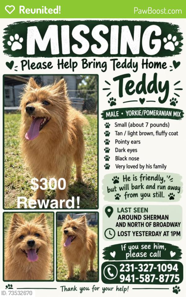 Reunited Male Dog last seen Near Trenton Dr, Norton Shores, MI 49444, USA, Norton Shores, MI 49444