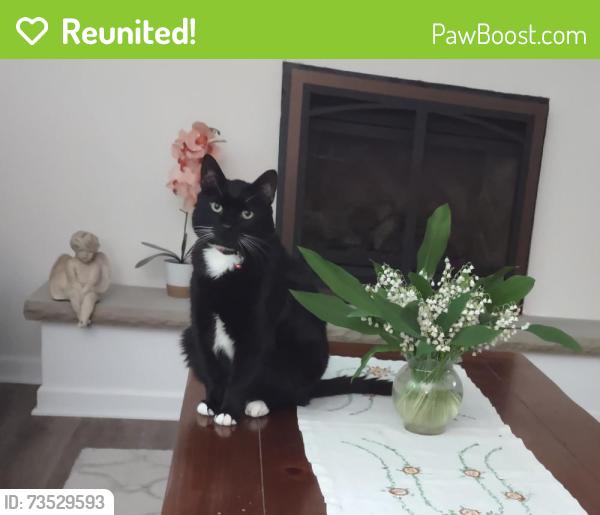 Reunited Male Cat last seen Langhorne-Yardley Rd., Middletown Township, PA 19047