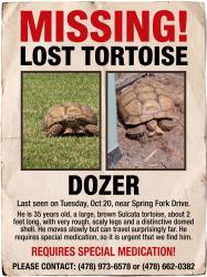 Lost Male Reptile last seen Last seen on spring fort drive, Spring, TX 77373