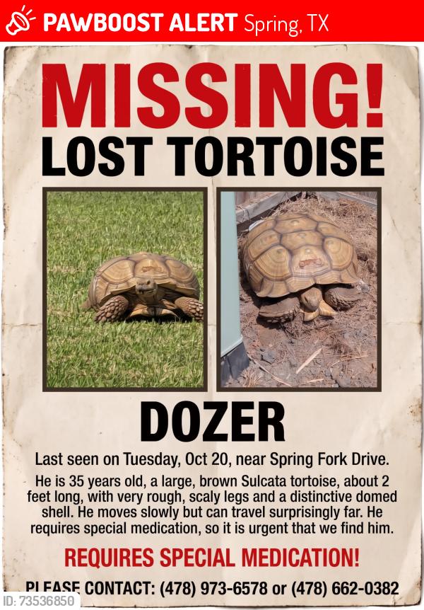 Lost Male Reptile last seen Last seen on spring fort drive, Spring, TX 77373