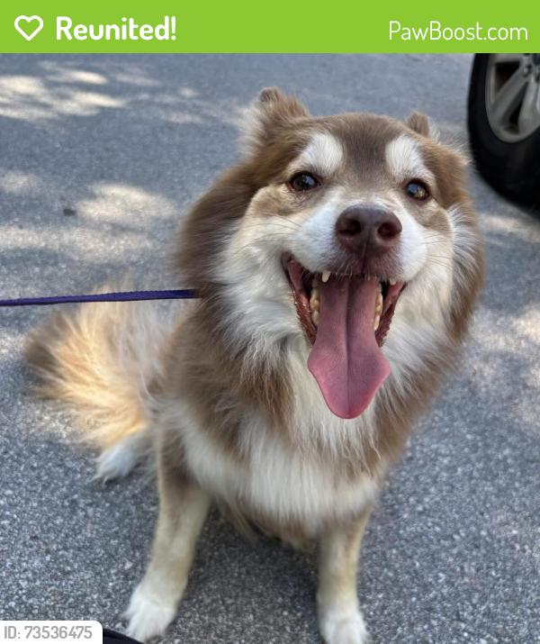 Reunited Unknown Dog last seen Port St. Lucie, Port St. Lucie, FL 34986