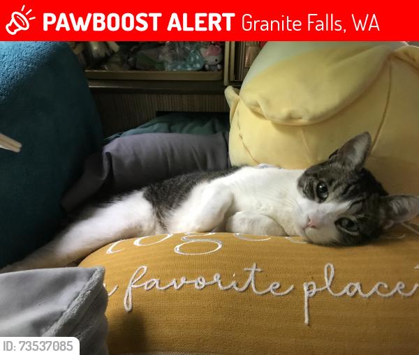 Lost Male Cat last seen Near goebel hill rd, Granite Falls, WA 98252