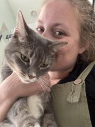 Reunited Male Cat last seen New Northshore, Lynn Haven, FL 32444