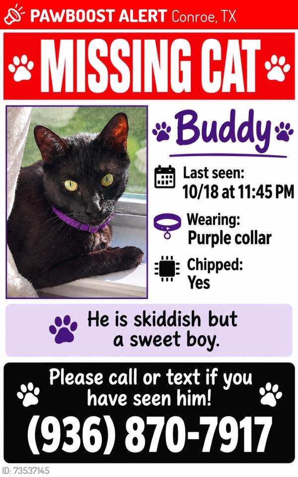 Lost Male Cat last seen Alexus, Avalon, Conroe, TX 77302