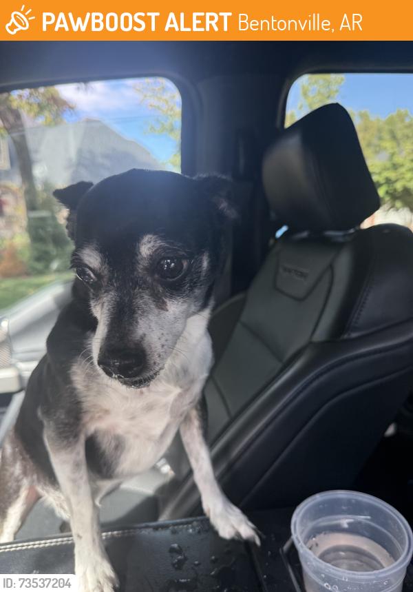 Found/Stray Male Dog last seen Hidden Hills- red barn, Bentonville, AR 72712