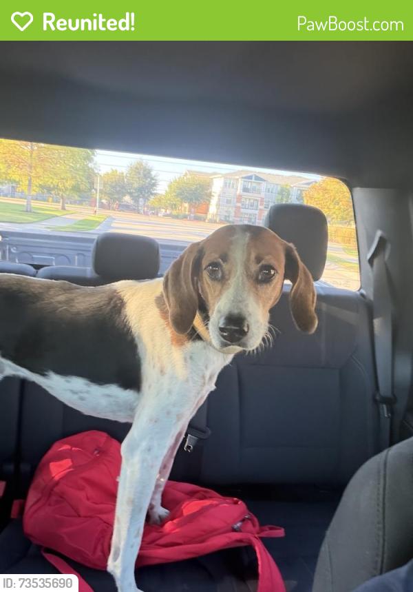 Reunited Male Dog last seen Near State Highway 121 Access Rd The Colony, TX 75056 United States, The Colony, TX 75056
