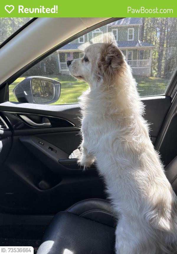 Reunited Unknown Dog last seen Highway 92, Paulding County, GA 30127