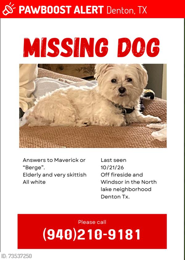 Lost Male Dog last seen Last seen 10/21/26 Off fireside and Windsor in the North lake neighborhood Denton Tx., Denton, TX 76201